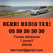 logo Berri Taxi
