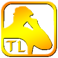 logo Transferticall