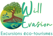 LOGO WILL EVASION