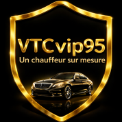 LOGO VTC vip95